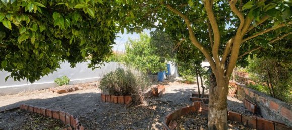 Дом с 3 спальнями в Вале ди Сантарен, Португалия № 167409 11