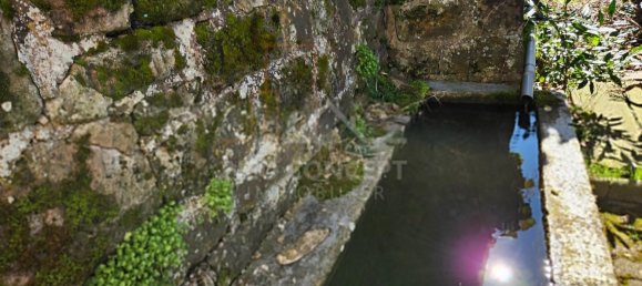 6-salle Maison à Wingen-sur-Moder, France No. 51759 10