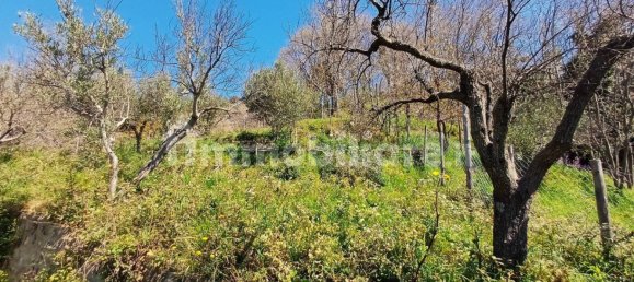 Дом с 2 спальнями в Катандзаро, Италия № 228592 18