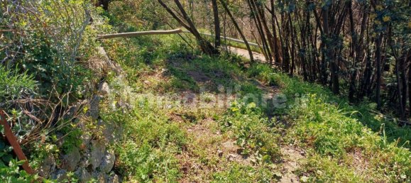 Дом с 2 спальнями в Катандзаро, Италия № 228592 19