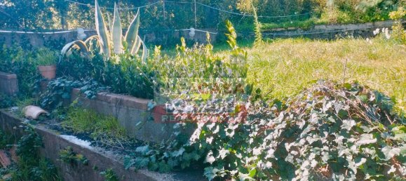 Дом с 3 комнатами в Маскали, Италия № 103409 11