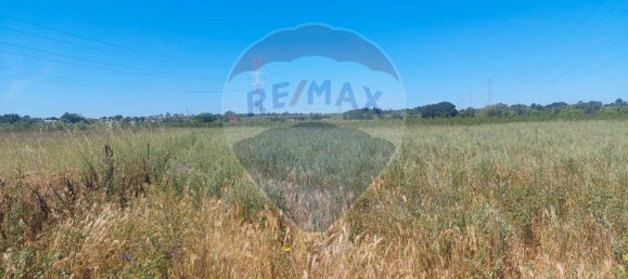 Grundstück in Palmela, Portugal 7000m², Nr. 48145 3