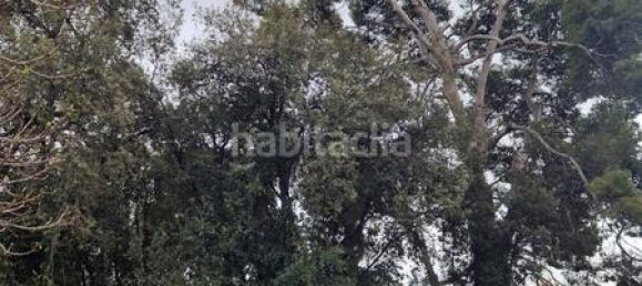 25 bedrooms House in Sant Joan Despi, Spain No. 161917 23