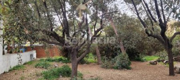 25 bedrooms House in Sant Joan Despi, Spain No. 161917 8