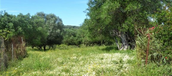 12044m² Hotel for sale in Corfu, Central Corfu and Diapontian Islands, Corfu, Ionian Islands, Peloponnese, Western Greece and the Ionian, Greece № 4551 7