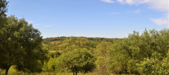 Hotel in Corfu, Greece 12044m², Nr. 4551 2