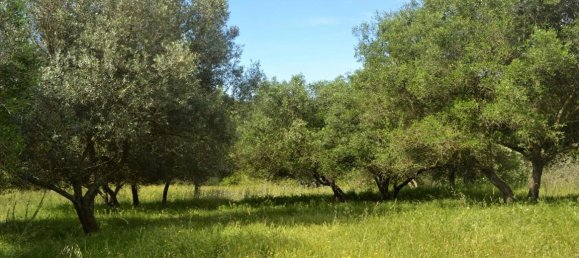 Hotel in Corfu, Greece 12044m², Nr. 4551 5