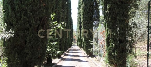 11 rooms Villa in Terni, Italy No. 177185 4