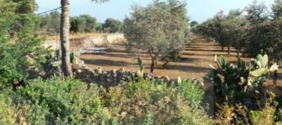 5غرفة فيلا في Manduria, Italy رقم 22430 26