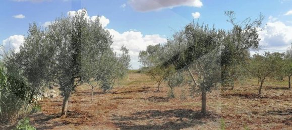 5غرفة فيلا في Manduria, Italy رقم 22430 29