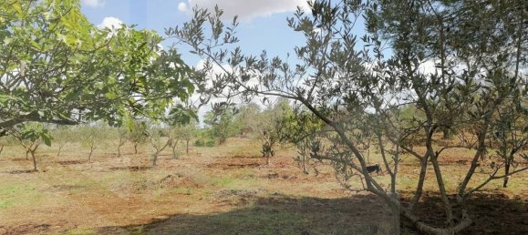 5غرفة فيلا في Manduria, Italy رقم 22430 31