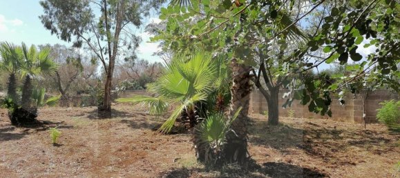 5غرفة فيلا في Manduria, Italy رقم 22430 30