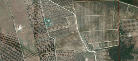 5غرفة فيلا في Manduria, Italy رقم 22430 38