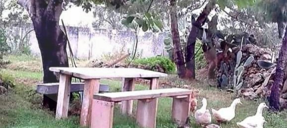 5غرفة فيلا في Manduria, Italy رقم 22430 24