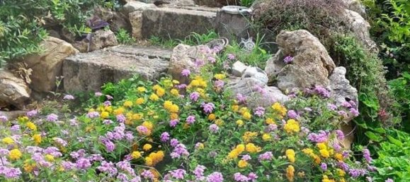 5غرفة فيلا في Manduria, Italy رقم 22430 27