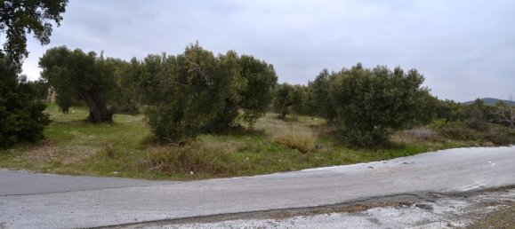 Отель, гостиница 34000м² в Полийирос, Греция № 7331 4