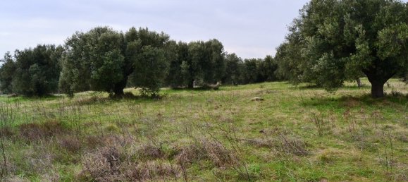 Отель, гостиница 34000м² в Полийирос, Греция № 7331 2