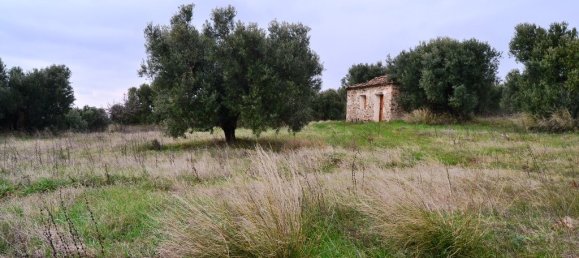 Отель, гостиница 34000м² в Полийирос, Греция № 7331 3