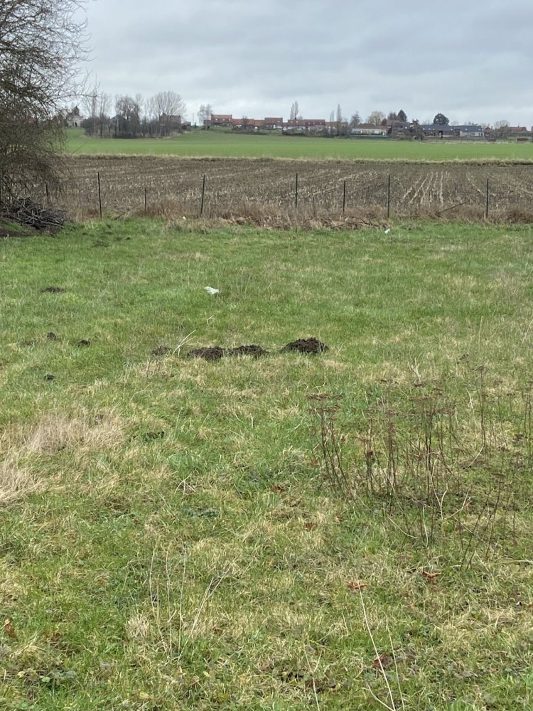 Terrain à Leforest, France 880m² No. 53455