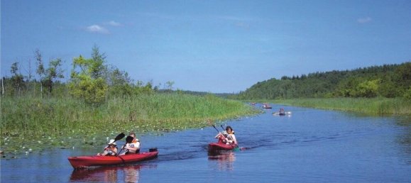 1 bedroom Hotel in Mecklenburgische Seenplatte, Germany No. 127546 27