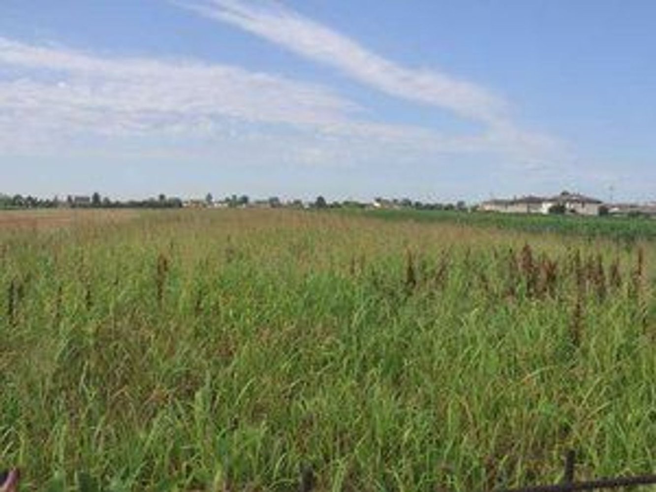 9275m² Land in Casalserugo, Italy No. 278393