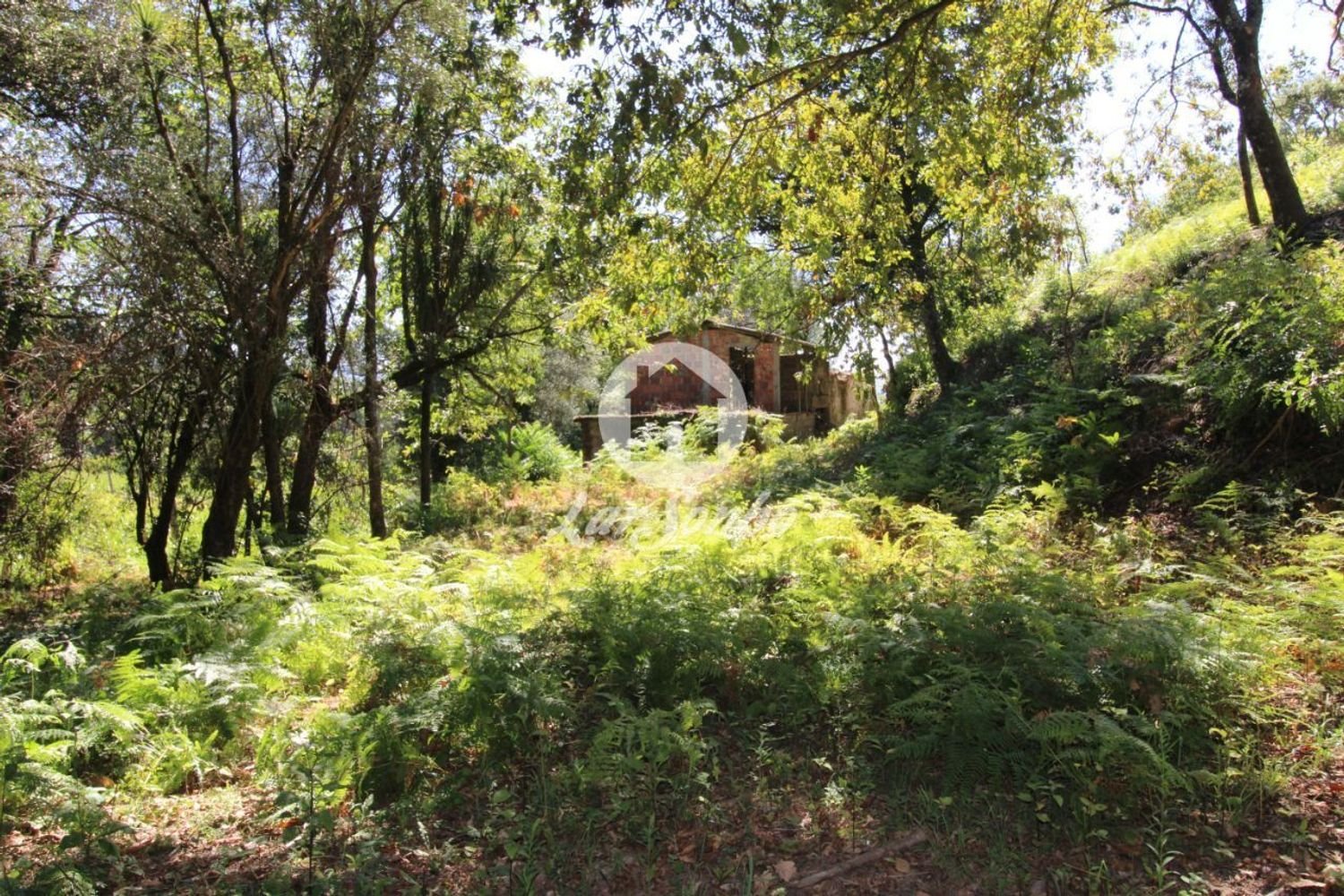 2 bedrooms House in Caires, Portugal No. 61642