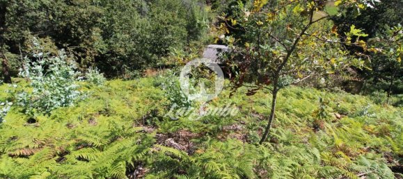 2 bedrooms House in Caires, Portugal No. 61642 5