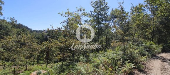 2 bedrooms House in Caires, Portugal No. 61642 9