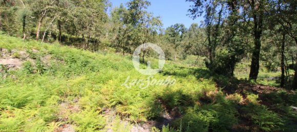 2 bedrooms House in Caires, Portugal No. 61642 11