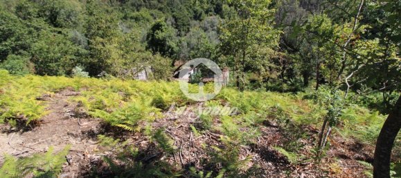 2 bedrooms House in Caires, Portugal No. 61642 3