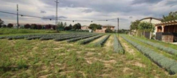 1023m² Land in Longiano, Italy No. 273689 3