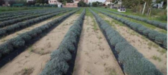 1023m² Land in Longiano, Italy No. 273689 5