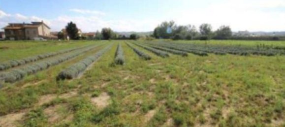 1023m² Land in Longiano, Italy No. 273689 2