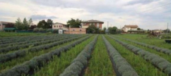 1023m² Land in Longiano, Italy No. 273689 4