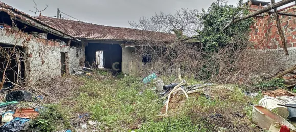 3 غرف نوم فيلا في Oliveira do Bairro, Portugal رقم 188742 6