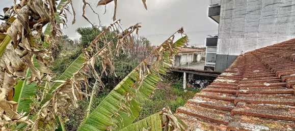 3 غرف نوم فيلا في Oliveira do Bairro, Portugal رقم 188742 9