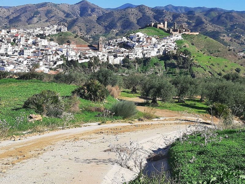 Grundstück in Alora, Spain 23917m², Nr. 221053