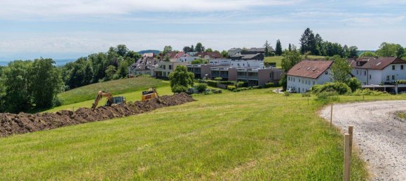 800m² Land in Gramastetten, Austria No. 163083 3