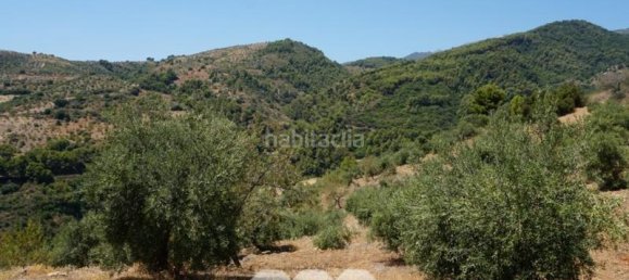 3 bedrooms House in Yunquera, Spain No. 53254 39