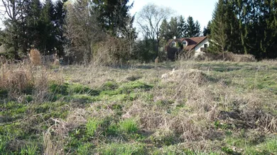  قطعة أرض في Kirchstetten, Austria رقم 163814