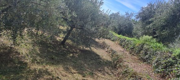 Casa de 4 divisões em Riomaggiore, Italy N.º 61911 14