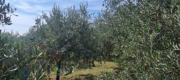 Casa de 4 divisões em Riomaggiore, Italy N.º 61911 2