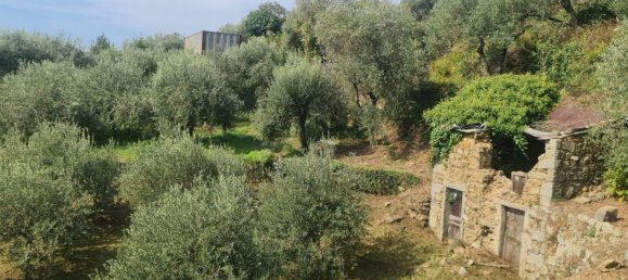 Casa de 4 divisões em Riomaggiore, Italy N.º 61911 13