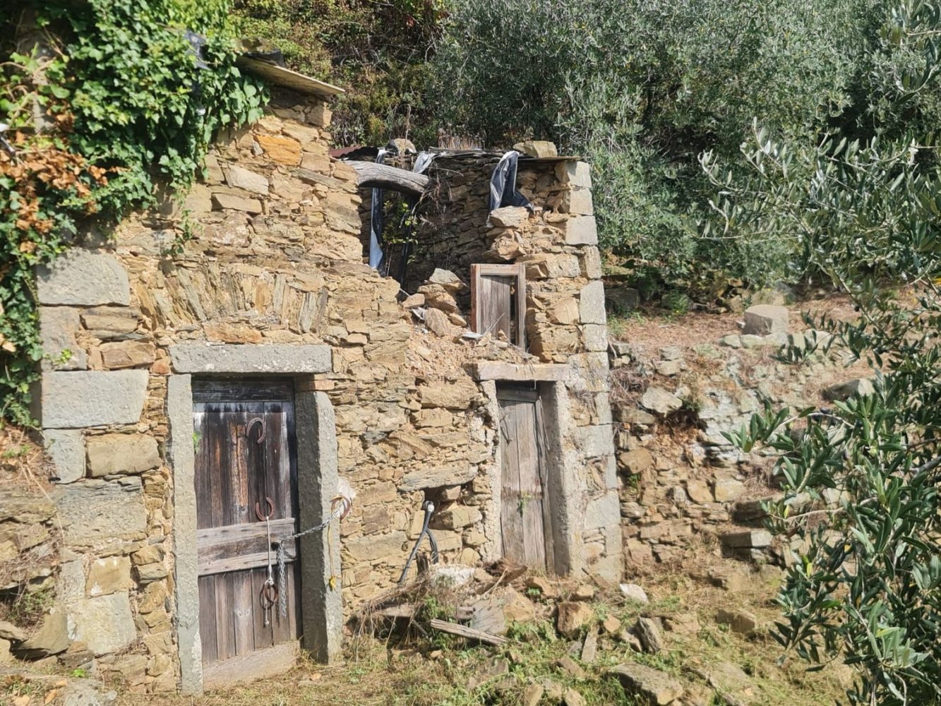 Casa de 4 divisões em Riomaggiore, Italy N.º 61911