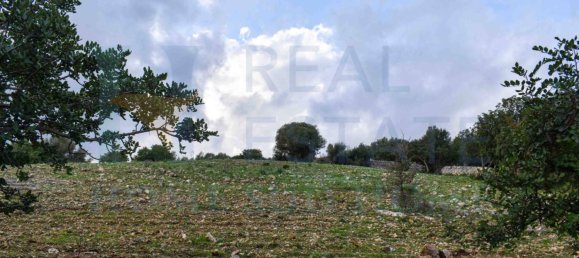 6 bedrooms House in Avola, Italy No. 72764 43