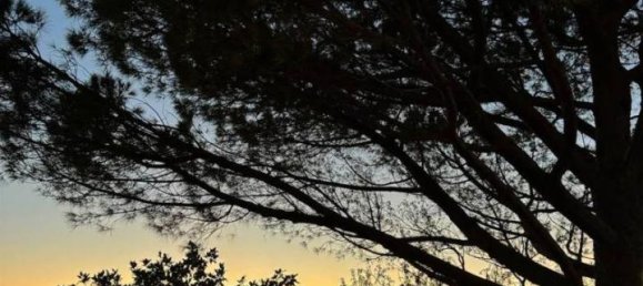 4 rooms Apartment in Massa Marittima, Italy No. 38950 42