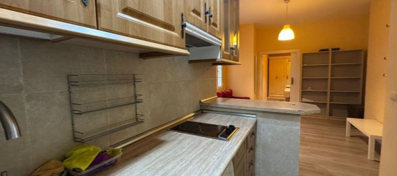 1 غرف نوم شقة في Madrid, Spain رقم 156508 5