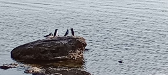 Дом с 3 спальнями в Эмсланд, Германия № 177295 37