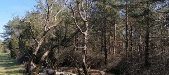 Дом с 3 спальнями в Эмсланд, Германия № 177295 40