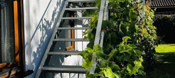 5-Zimmer Haus in Rohrbach-Berg, Austria, Nr. 259749 3